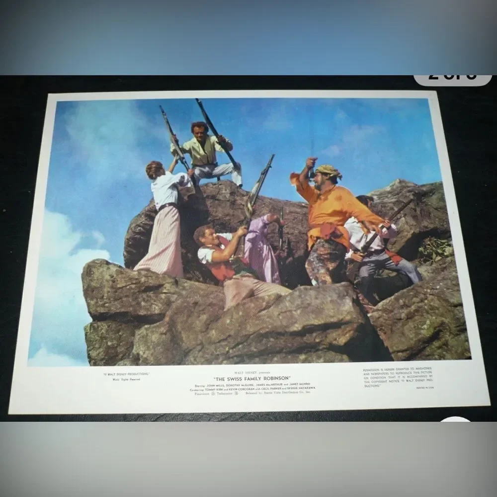 Walt Disney Swiss Family Robinson 11 X 14 In Framed Wall Art 1968 Technicolor